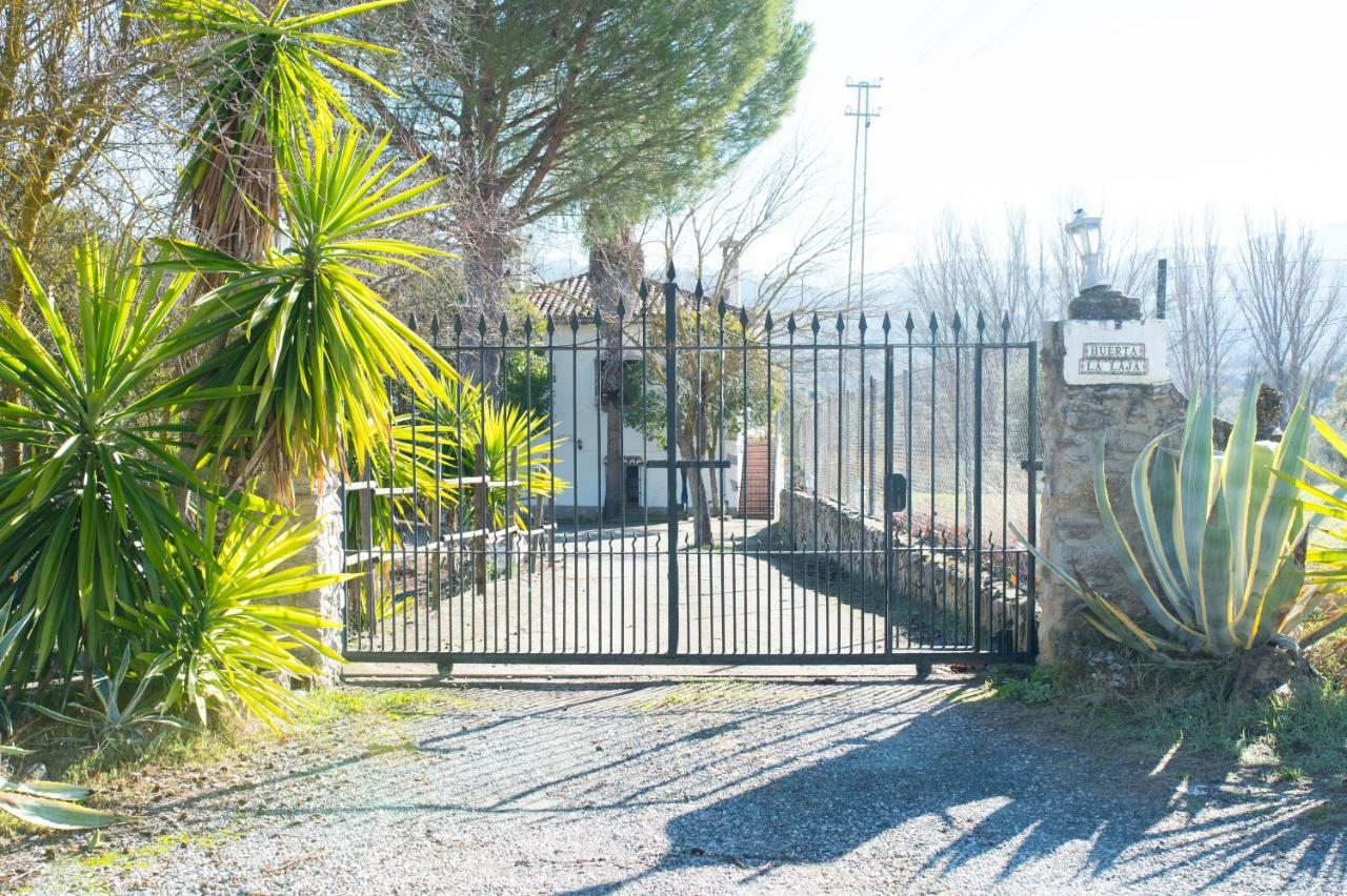 Apartamento Rural Cristi ロンダ エクステリア 写真